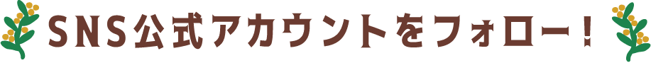 SNS公式アカウントをフォロー！