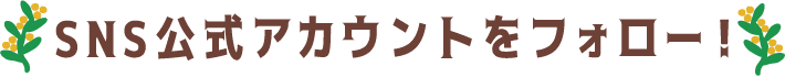 SNS公式アカウントをフォロー！