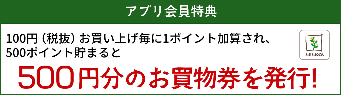 アプリ会員特典500ポイントで500円分のお買物券プレゼント