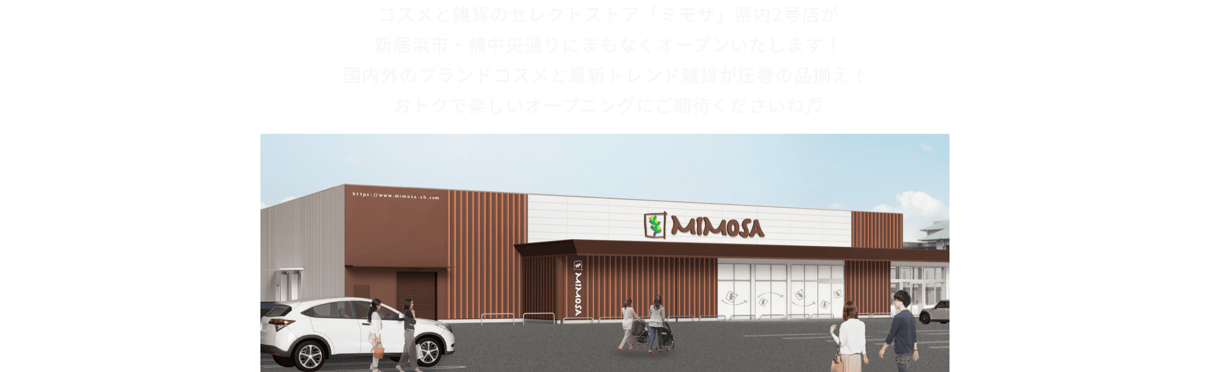 新居浜市・楠中央通りにミモザがオープン