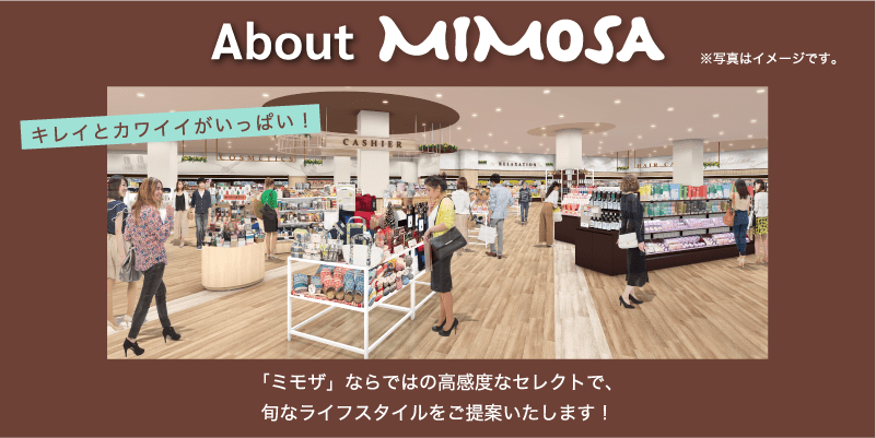 「ミモザ」ならではの高感度なセレクトで、旬なライフスタイルをご提案いたします！