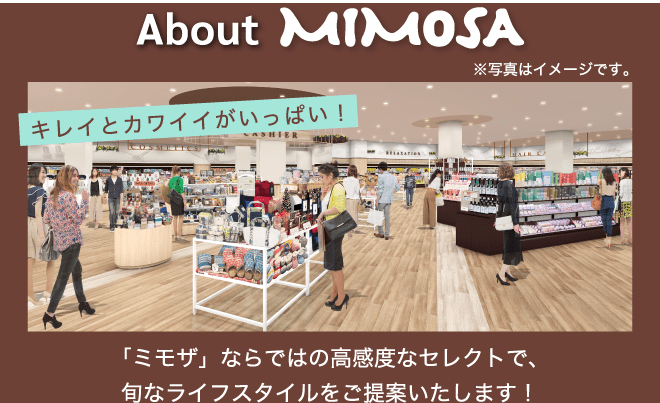 「ミモザ」ならではの高感度なセレクトで、旬なライフスタイルをご提案いたします！
